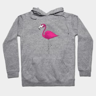 Pink Flamingo Hoodie